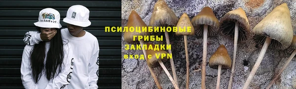 метамфетамин Богородицк